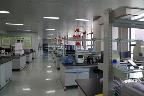 億元級加碼分子育種 博瑞迪生物完成A輪融資，持續深耕動植物育種底層技術